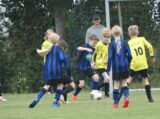 S.K.N.W.K. JO11-1JM - Halsteren JO11-4 (competitie) najaar seizoen 2021-2022 (1e fase) (3/59)